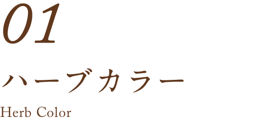 01　ハーブカラー